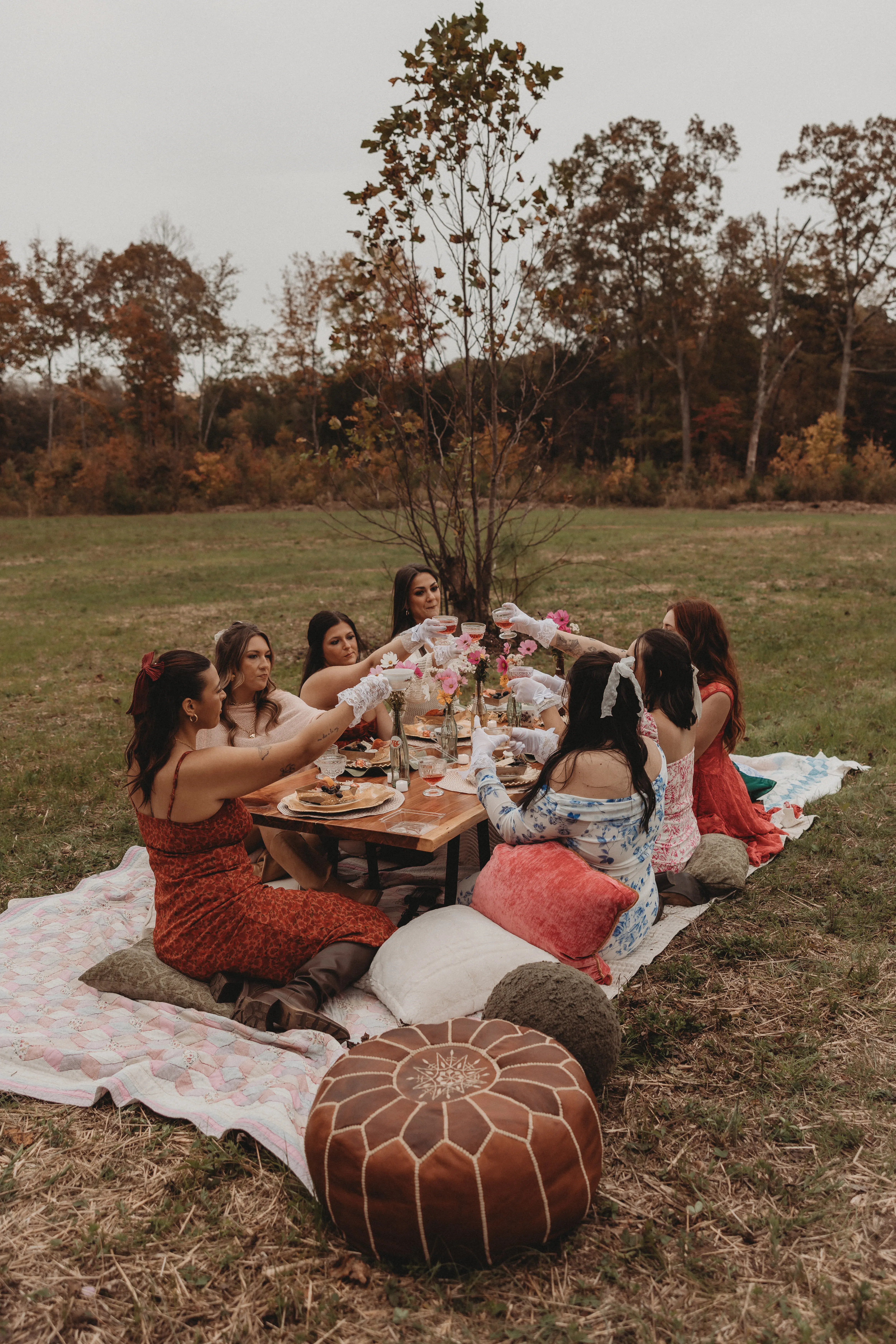 A group of women in colorful dresses raising glasses in a toast on a picnic blanket at Magnolia Hill