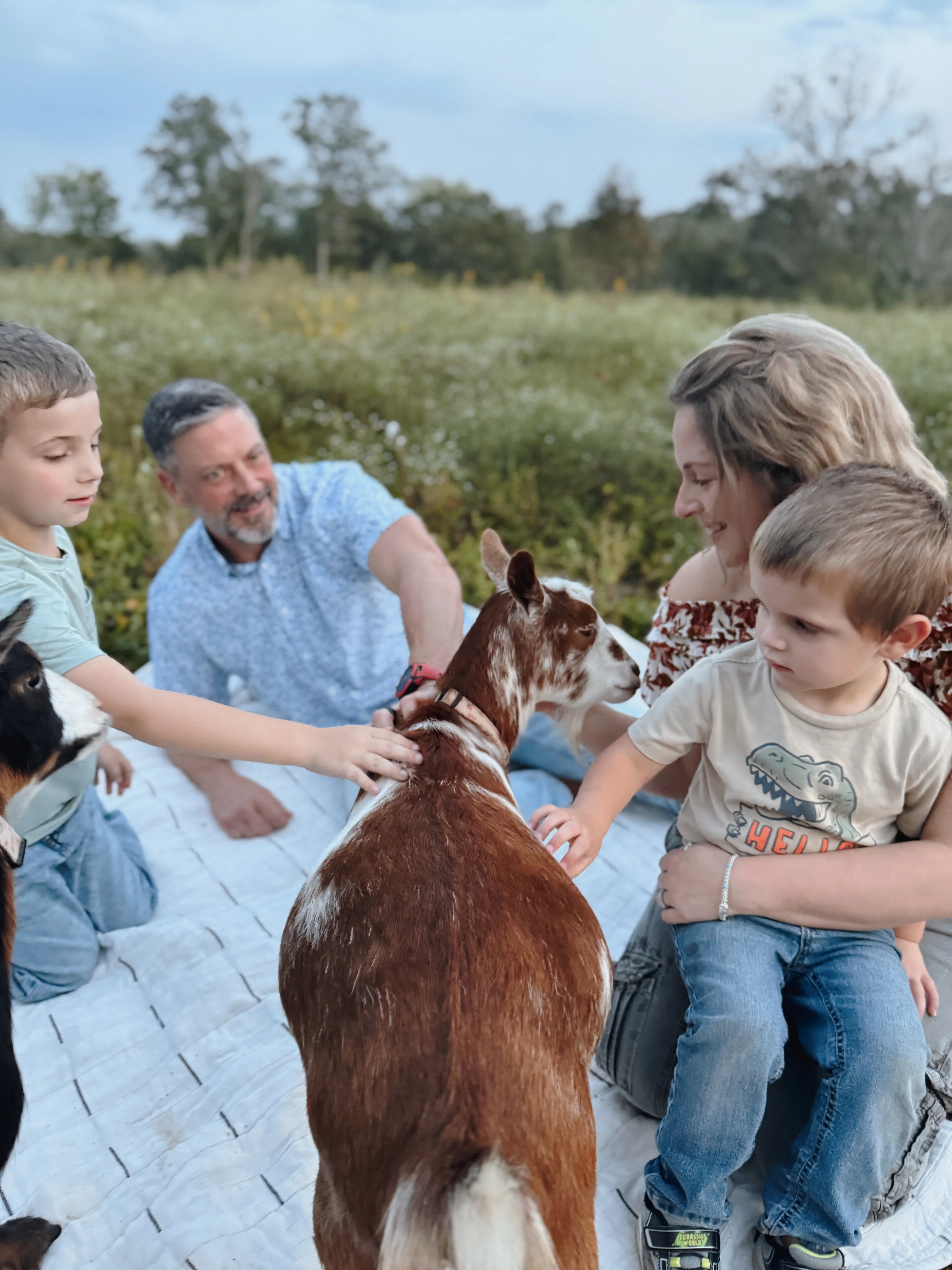 A family of four sitting on a picnic blanket at golden hour while baby goats come up to them at Magnolia Hill