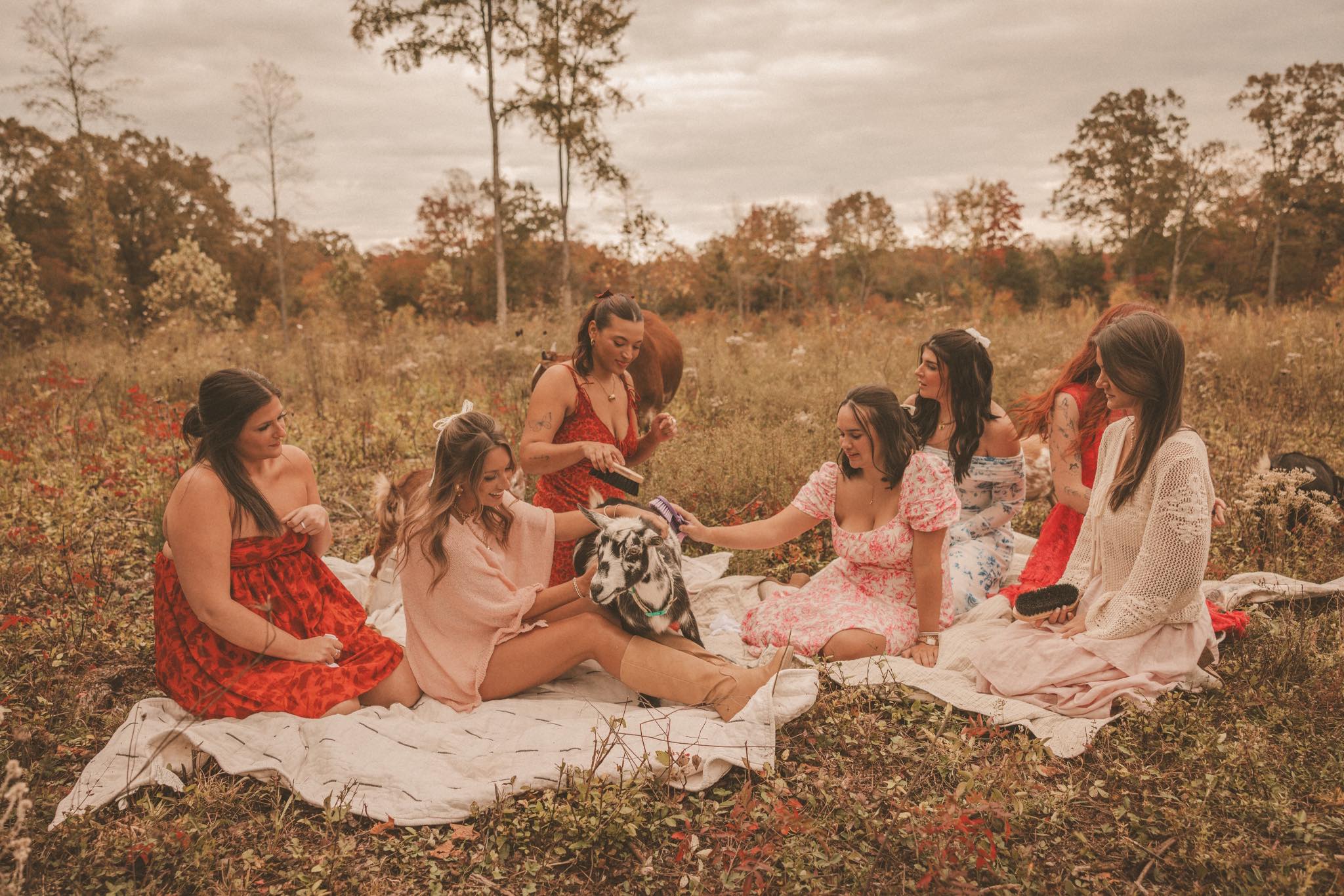 A group of women in colorful dresses sitting on a blanket in a meadow with a cow and goat joining them at Magnolia Hill