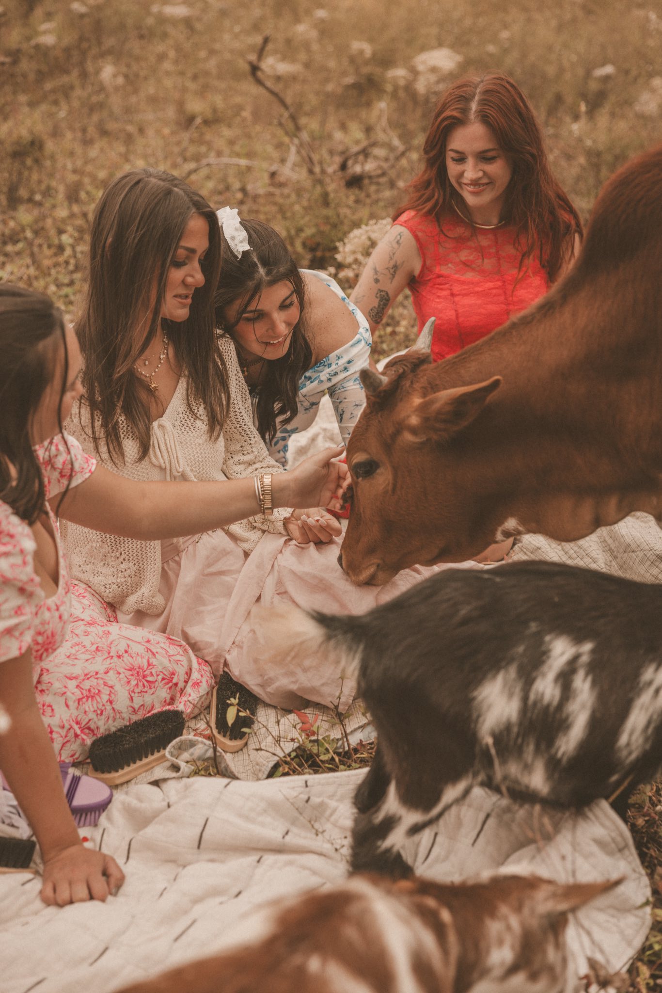 A woman laughing with delight as a goat nuzzles her lap at Magnolia Hill